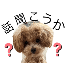 chanyui_20250927102114