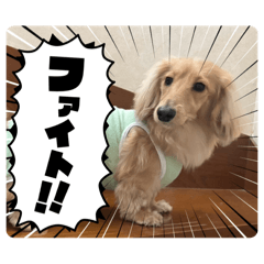 yaachan_20250927101259