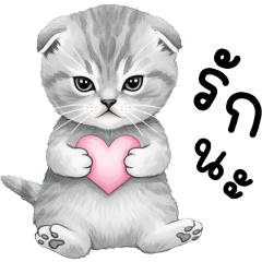 SHISHI MAEW MAEW BIGGG