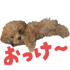 kana_20250927134640