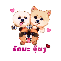 THE SD. Domm_20250927010959