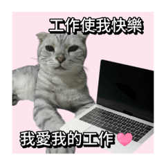 測試用12345678