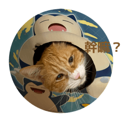 奶茶小寶貝1140927