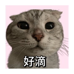 讓我通過！！！！