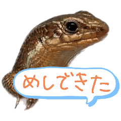 cookieeeee_20250926190953