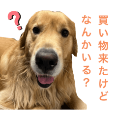 Tommy_20250926204410