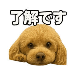 Emi_20250927162159