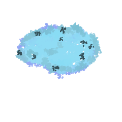 nkoaldpa_20250927143143