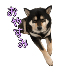 Tsuneoki