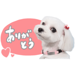 ポテトの日常1 by corinco