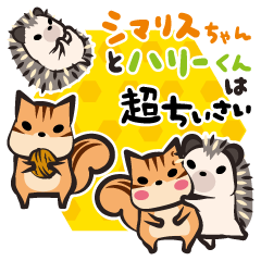 シマリスちゃんとハリーくんは超ちいさい