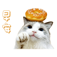 貓貓の日常用語