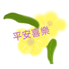 快樂的花花草草