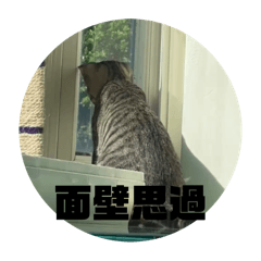 將軍台詞系列-2