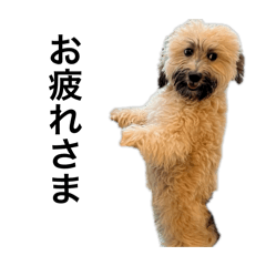 wako1115mama_20250927154637