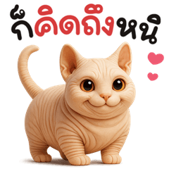 เหมียวสฟิงซ์น่ารัก