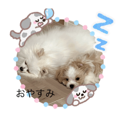 AYUMI_20250927191221