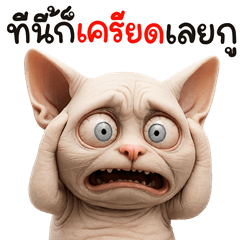 มิ้วสฟิงซ์