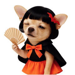 可愛いチワワの女の子のハロウィン (NT)