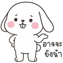 Mini Lop Rabbit (THAI)