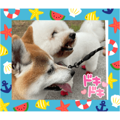 Tonkotsu_20250927165630