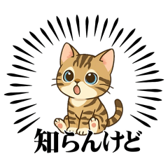 『茶トラ』のスタンプ