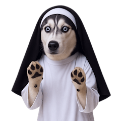 シベリアンおちゃめハロウィン (NT)