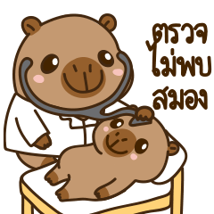 คาปิ๊ คาปิบาร่าอ้วง V11 [TH][จิกกัด2]