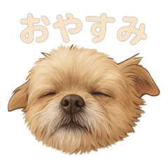 mayupon_20250927223248