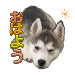 yuka_20250927223126