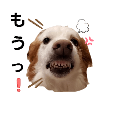 kinako_20250927223027