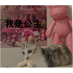 公主小胖胖