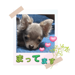 satohiro_20250927234634