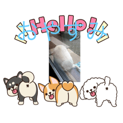 wataame_20250927185134