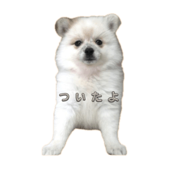 Omochi_20250927220452