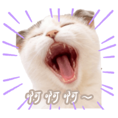 Allen_20250928004744