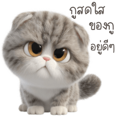 เต้าหู้ คำฮิต ใช้ทุกวัน 2_28