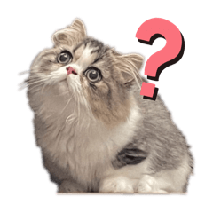 Arisa_20250927224234