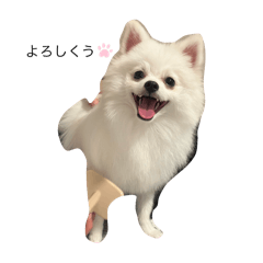 omochi_20250927220927