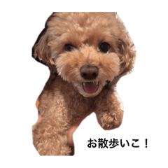 Hiyori_20250928012613