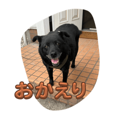 akari_20250928083025