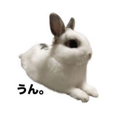 akiwo_20250927210451