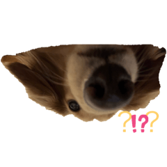 Mizuki_20250927212409