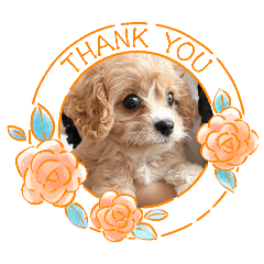 Hinata_20250927212407