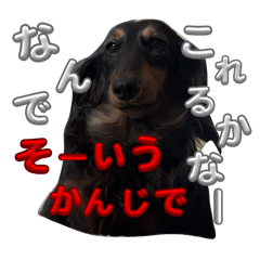 meichanteam_20250928020522