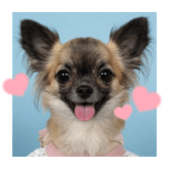 Panchan_20250927221547