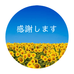 grace_20250927222623