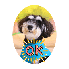 Joyce_20250928121837