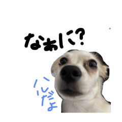 omochi_20250928065846