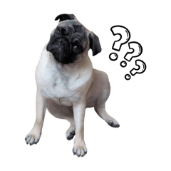 mayupon_20250927232400